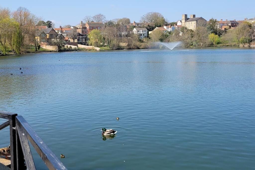 Pulham Entire 2 Bed Coach House In Peaceful Norfolk Village מראה חיצוני תמונה